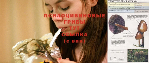 PSILOCYBIN Балахна