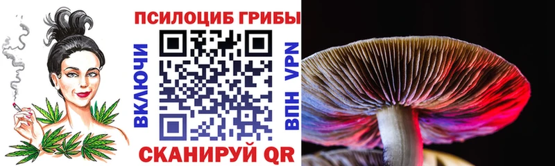 Галлюциногенные грибы MAGIC MUSHROOMS  Купить закладки  Москва 