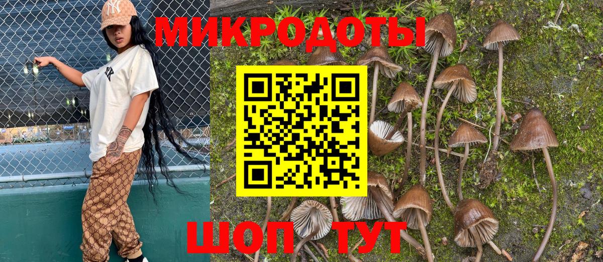 Галлюциногенные грибы Magic Shrooms  Псилоцибиновые грибы мухоморы  Москва  Вход с VPN 