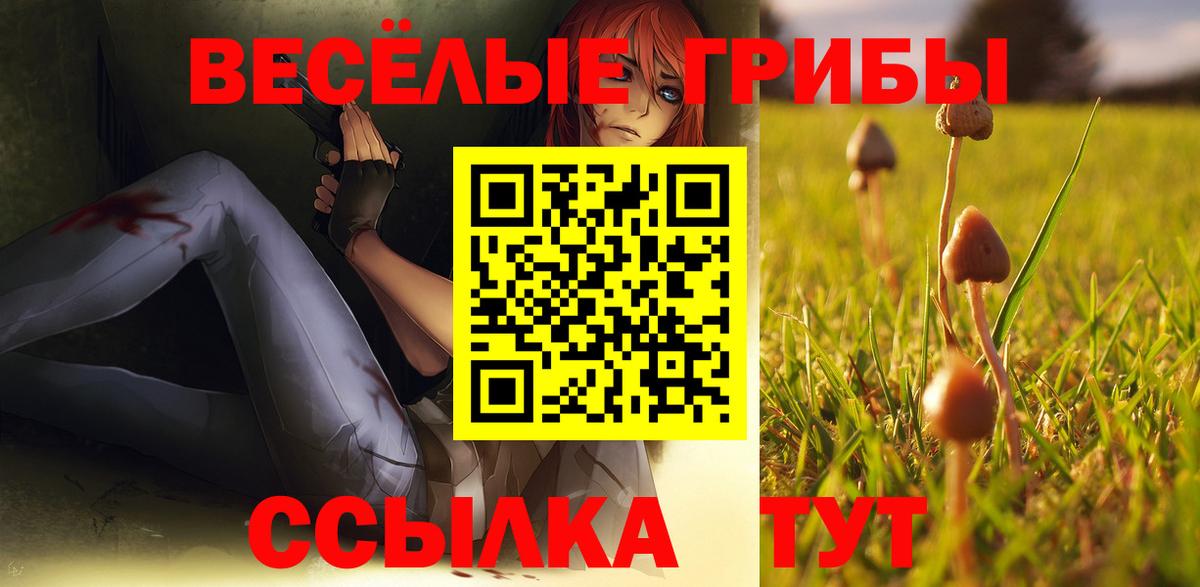 Псилоцибиновые грибы прущие грибы Москва