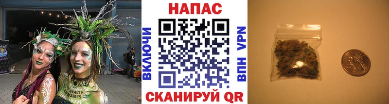 Купить где  Москва  Бошки марихуана OG Kush 